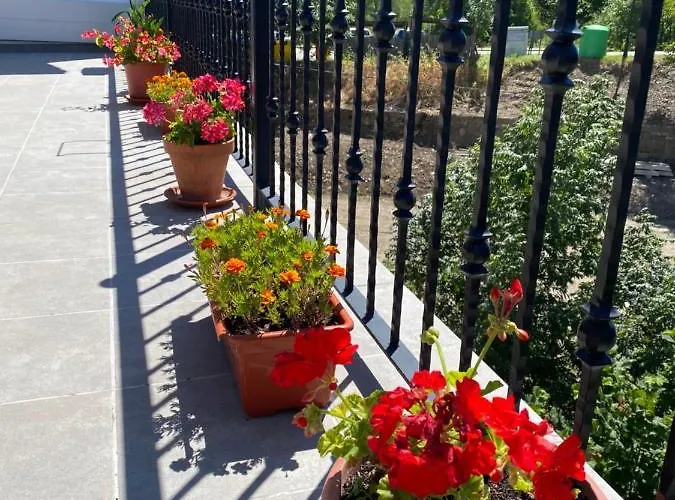 Pensión Casa Vispe Escalona